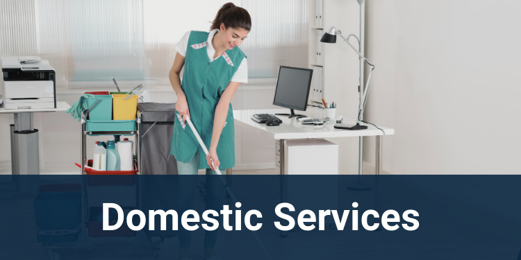 Domestic Services