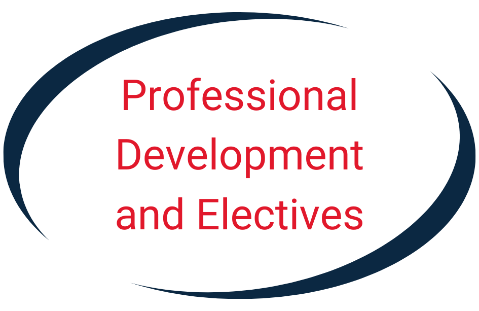Professional Development and Electives